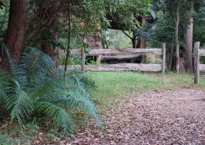 Cottage Accommodation